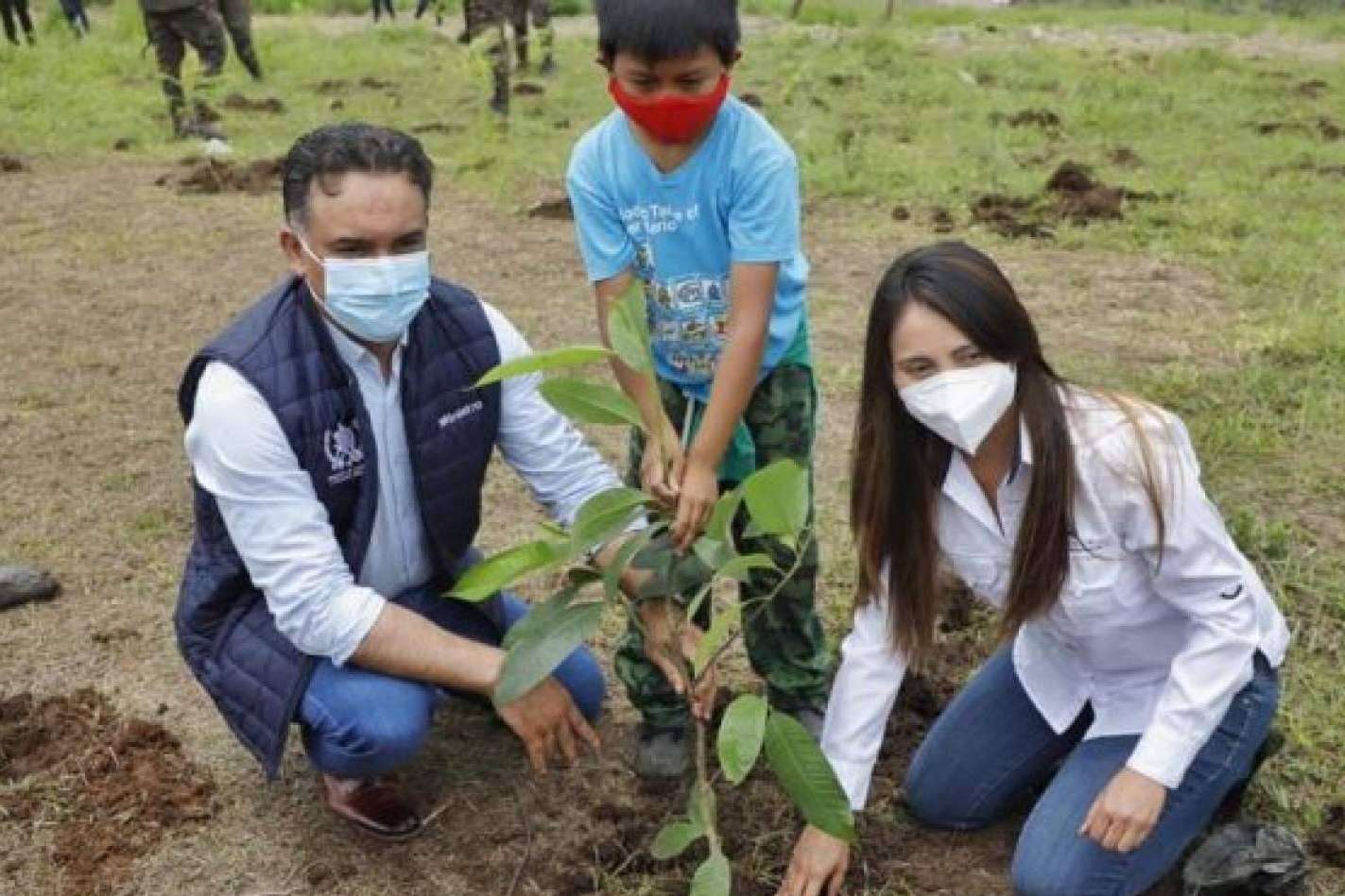 A Blueprint for Sustainability; Lessons from Guatemala's Reforestation Triumph