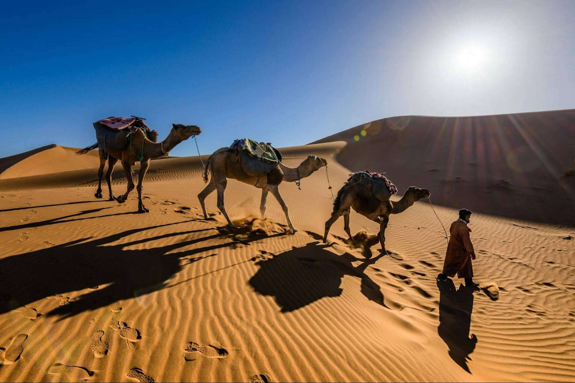 Unveil the Charm of Morocco with Top Desert Tours and Day Trips from Marrakech